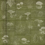 Лист двусторонней бумаги для скрапбукинга Autumn botanical diary #58-02 30,5х30,5 см