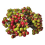 Set Lack Schneeball Beeren Grün-Rot 20St