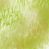 лист односторонней бумаги с фольгированием, дизайн golden fern, color light green watercolor, 30,5см х 30,5см