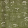 Zestaw papieru do scrapbookingu Autumn botanical diary, 20cm x 20cm