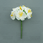 Kwiaty jaśminu, kolor Biały, 6 szt