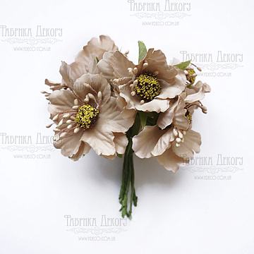 Set of poppies beige, 6 pcs