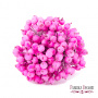 Set of sugar guelder rose berries Pink 20pcs