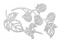 Набор чипбордов Summer botanical diary 10х15 см #691