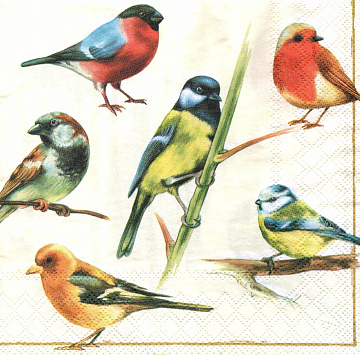 Decoupage napkin "Birds"