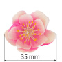 Plum blossom pink with white, 1pc - 1