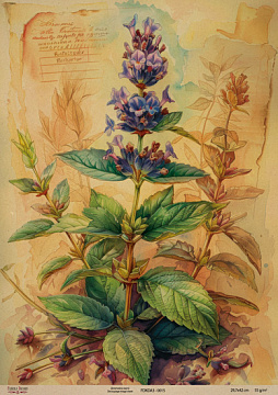 Kraftowy papier do decoupage, 29,7x42cm, „Botanica Kraft”, #0015