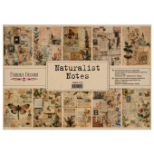 набор односторонней крафт-бумаги для скрапбукинга naturalist notes 42x29,7 см, 10 листов набор односторонней крафт-бумаги для скрапбукинга naturalist notes 42x29,7 см, 10 листов