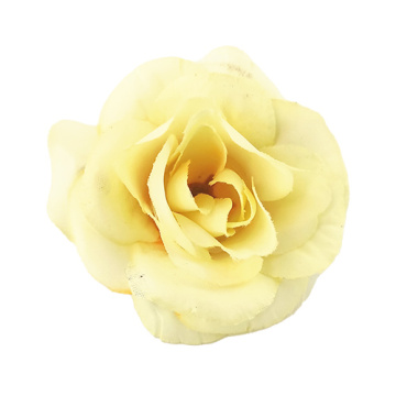 Tea rose flower mini, Champagne, 1pc - 2 Tea rose flower mini, Champagne, 1pc - 2