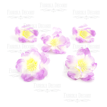 Sakura flower white with lilac, 1 pcs