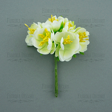 Jasmine flowers Light green 6 pcs