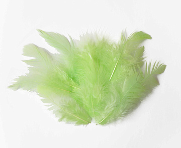 Feathers set mini "light green "