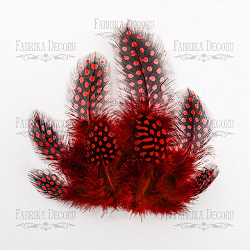 Feathers set Guinea fowls "Reds"