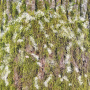 Doppelseitiges Scrapbooking-Papierset Country Winter, 20 cm x 20 cm, 10 Blätter