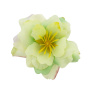 Clematis flower mint, 1 pc - 0
