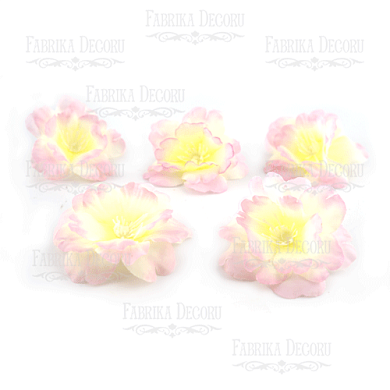 цветок сакуры белый с нежно-розовым, 1шт