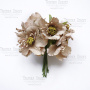 Set of poppies beige, 6 pcs