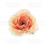 Rose flowers, color Peach with yellow, 1pcs - 0