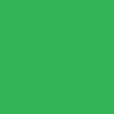 дизайнерский картон матовый зеленый, 30,5см х 30,5см, 270 г.кв.м