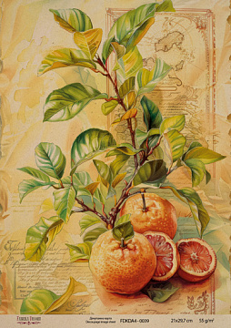 Kraft Decoupage Papier 21x29,7cm, “Botanica Vintage”, #0039