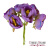 цветы жасмина maxi фиолетовые 6 шт