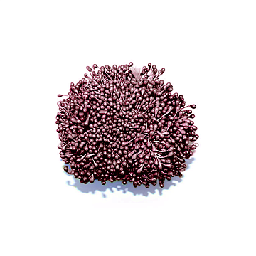 Set of small stamens 2-sided Marsala 20pcs