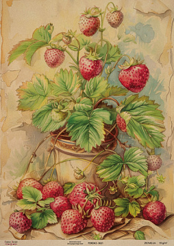 Kraftowy papier do decoupage, 29,7x42cm, „Botanica Kraft”, #0021