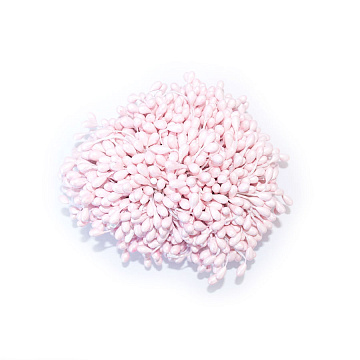 Stamens large and glossy Light pink 20pcs