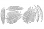 Набор чипбордов Botany exotic 10х15 см #717