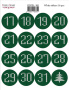 Set of stickers 16 pcs Botany winter #361