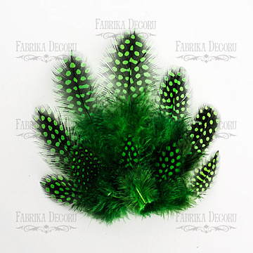 Feathers set guinea fowls "Emerald"