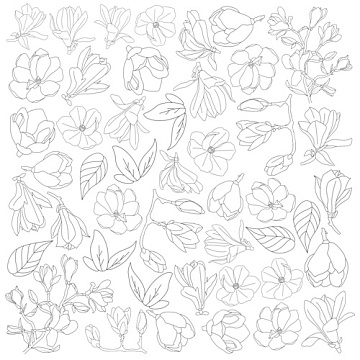 Sheet of paper 12"x12" for coloring using markers, Magnolia in bloom