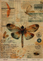 Kraft decoupage paper, 21x29,7cm, “Botanica Vintage”, #0065 Kraft decoupage paper, 21x29,7cm, “Botanica Vintage”, #0065