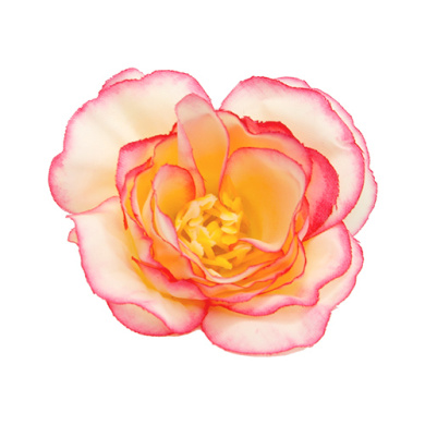 цветок чайной розы кремовый с ярко-розовым, 1шт - 2