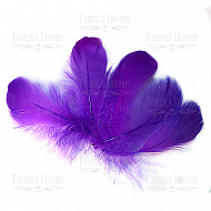Feather set "Lilac"