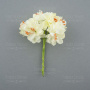 Set of flowers of the apple tree jasmine, 6 pcs