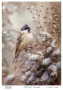 Decoupage card #0642, 21x29,7 cm