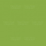 Sheet of double-sided paper for scrapbooking Green aquarelle & Bright green  #42-06 12"x12" - 0