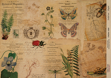 Kraft decoupage paper, 21x29,7cm, “Botanica Vintage”, #0089