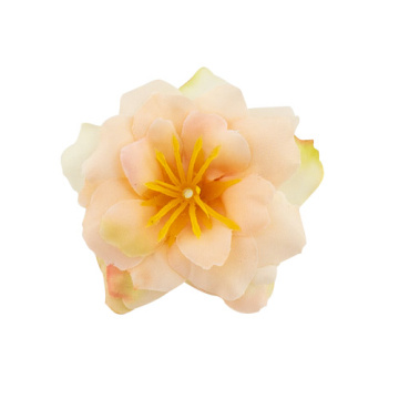 Clematis flower peach, 1 pc - 2