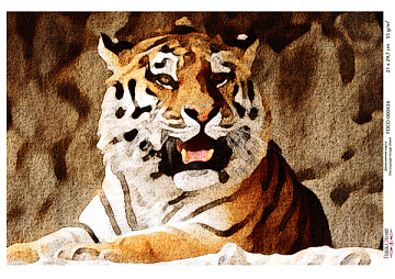 Decoupage card Tiger, watercolor #0434, 21x30cm