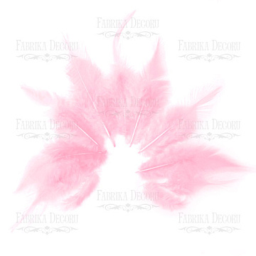 Feathers set with a tail "Pink"