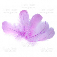 Feather set " Delicate lilac"