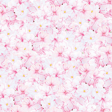 Blatt doppelseitiges Papier für Scrapbooking Magnolia in Bloom #24-02 12"x12"