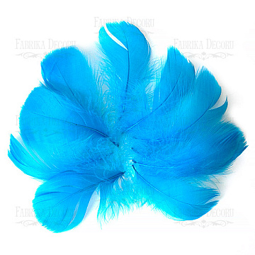 Feathers set maxi "Bright blue"