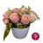 floristic interior composition "roses present", 200 x 200 x 180 mm 