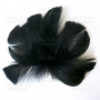 Feather set  "Black"