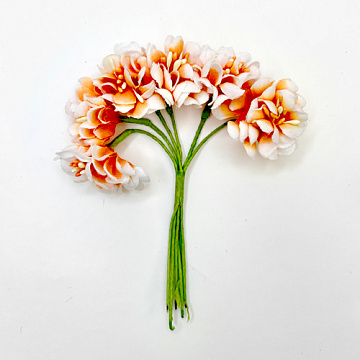 Set of apple flowers orange with white, 6 pcs