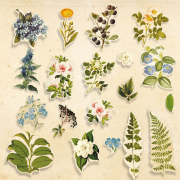 набор высечек, коллекция botany summer, 59шт - 2 набор высечек, коллекция botany summer, 59шт - 2