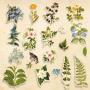 Set of die cuts Botany summer, 59pcs - 0